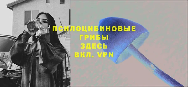 экстази Алексин
